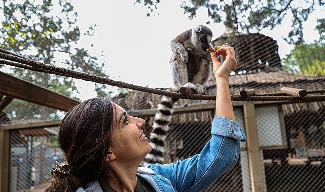 Antalya Doğal Yaşam Parkı'nda yavru lemur sevinci