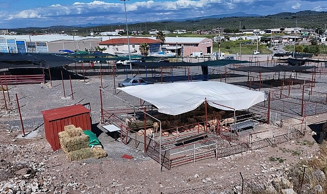 Ayvalık'ta Kurban Pazarı Hizmete Açıldı