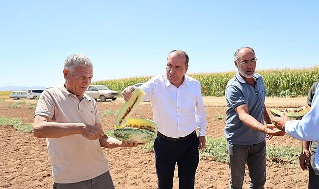 Çumra'nın Sarı İçli "Tatar Karpuzu" Yeniden Gündemde