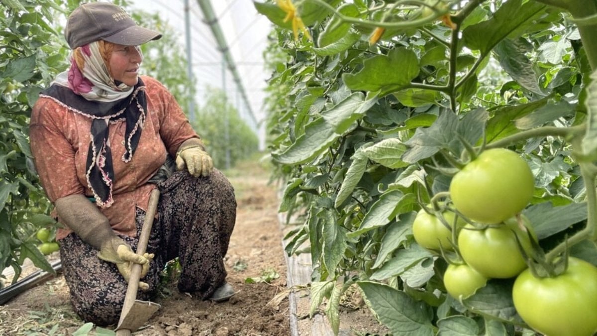 Antalya, Türkiye'nin meyve ve sebze üretiminde lider