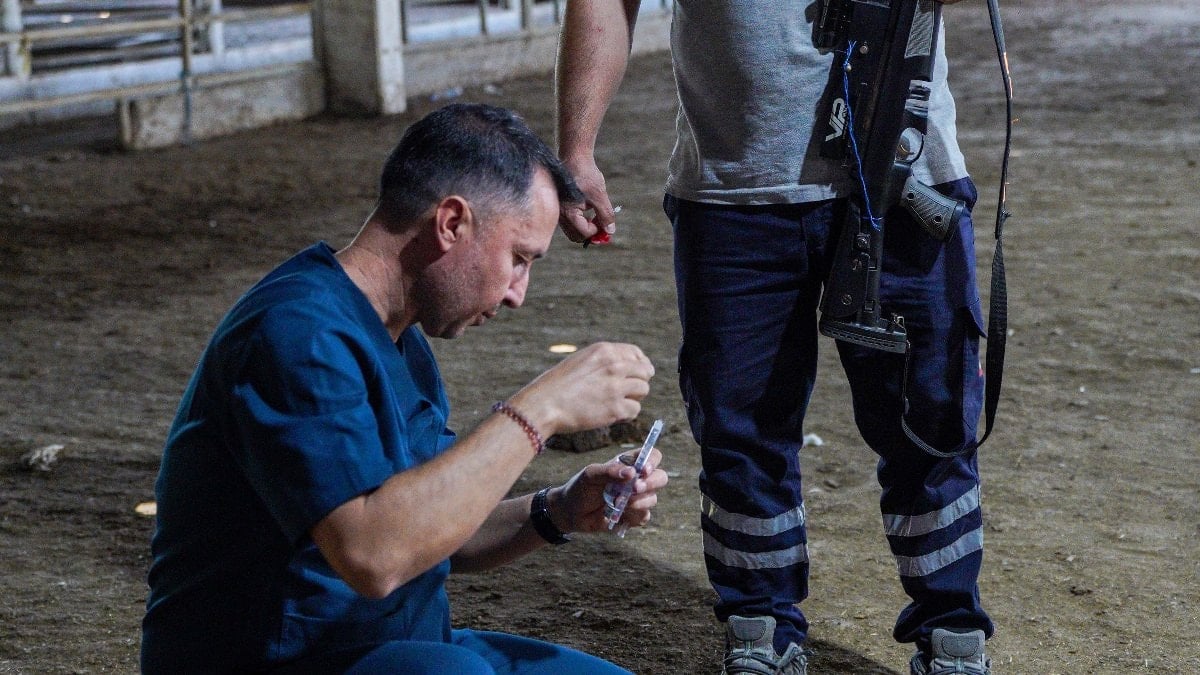 Antalya'da hayvan yakalama timi göreve hazır