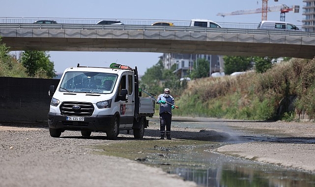 Bakırköy'de Vektör Mücadelesi Yoğunlaştı
