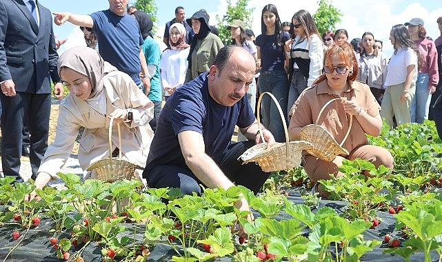 Başkan Altay 2027 Yılı Tarımsal Destek Başvurularının 1 Temmuz'da Başlayacağını Duyurdu