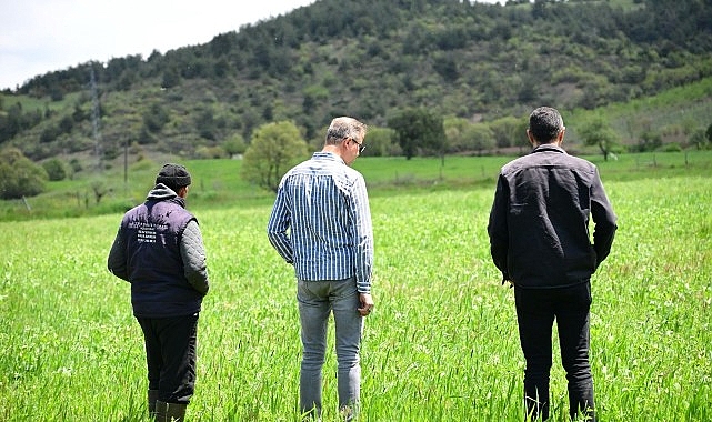 Büyükşehir'in Toprakla Buluşan Tohumları Yeşerdi