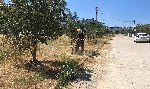 Didim Belediyesi Yeşil Alanlarda Bakım Çalışmalarını Sürdürüyor
