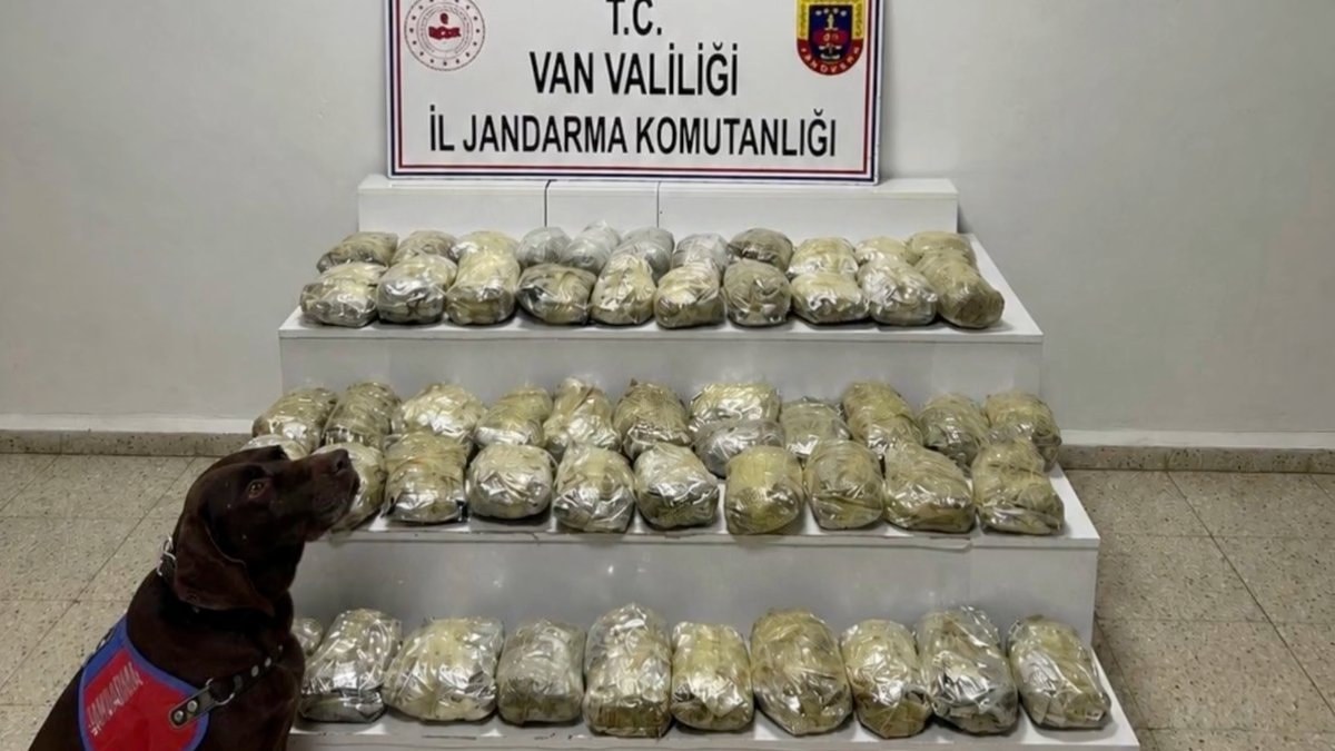 24 ilde narkotik operasyonu: 138 gözaltı