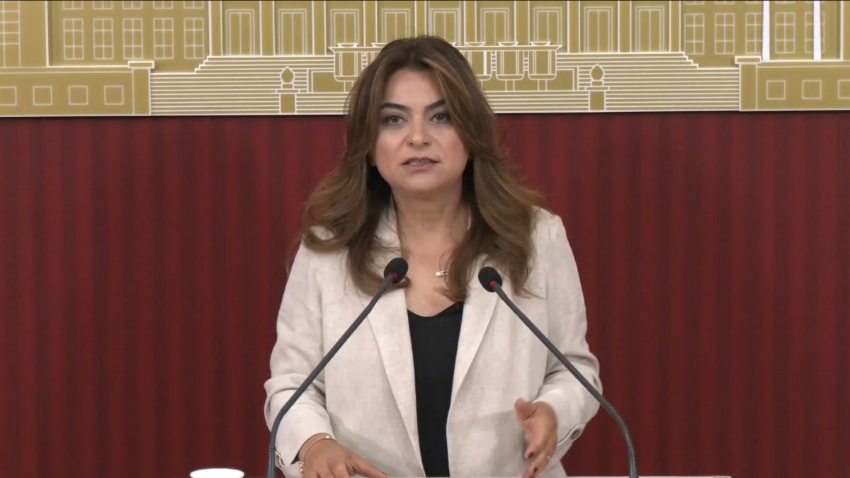 Gülistan Kılıç Koçyiğit: Çerçeve yasanın Meclis kapanmadan çıkacağına dair bilgiyi teyit edebilirim
