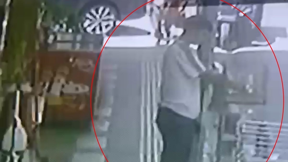 Mardin'de iş yerinin önünden papağan çalan hırsızlar kameraya yakalandı