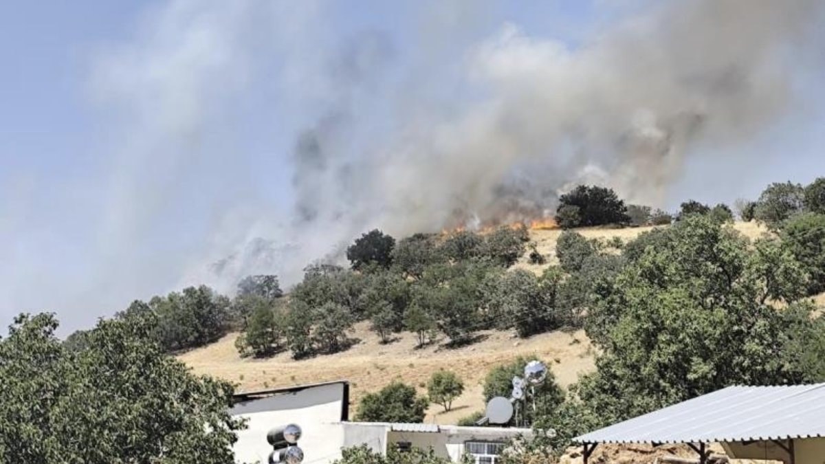 Diyarbakır'da orman yangını