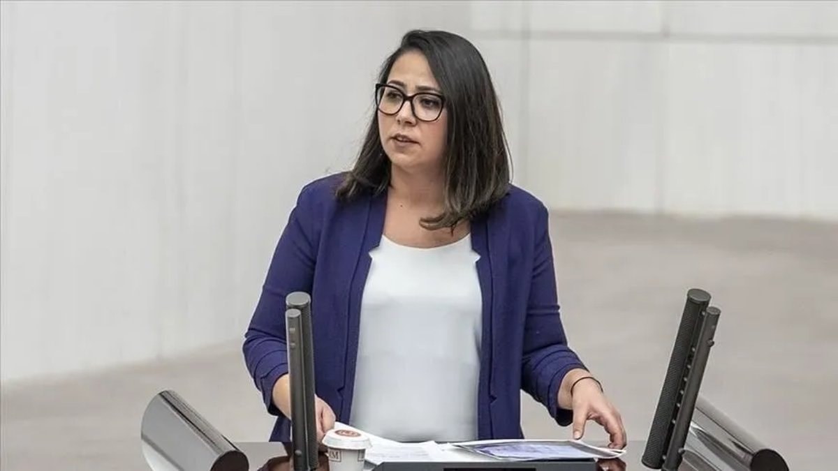 TİP milletvekili Sera Kadıgil hakkında 'Cumhurbaşkanına hakaret' ve 'tehdit' soruşturması
