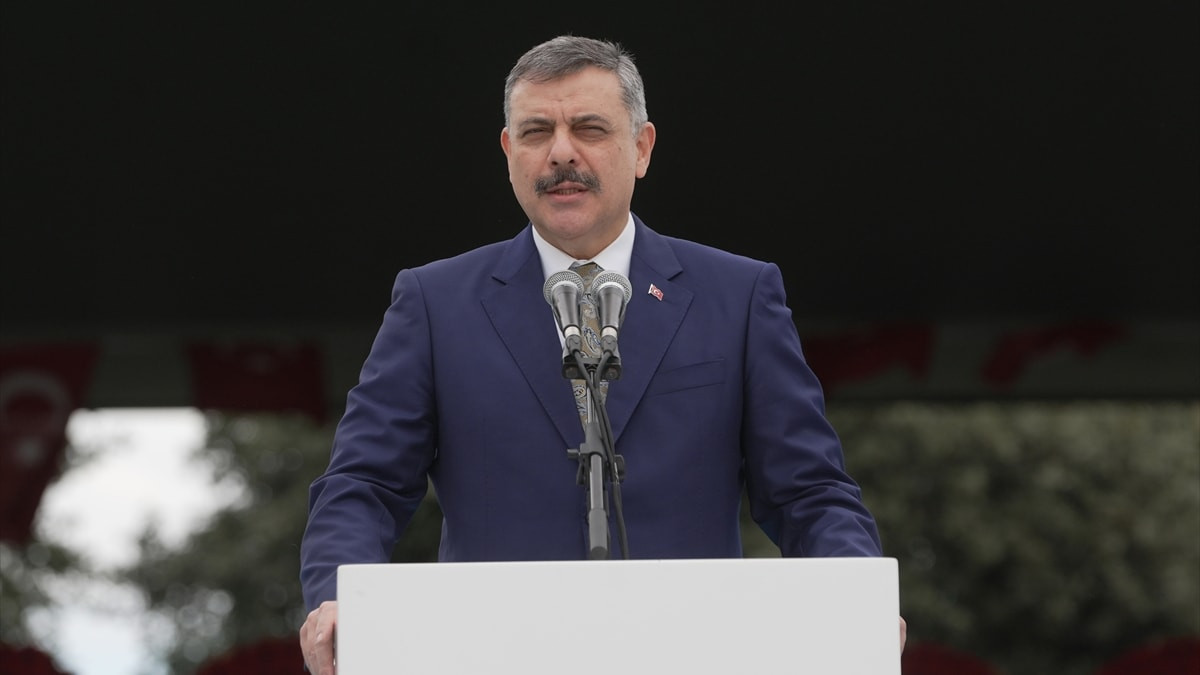 Mustafa Çiftçi: 1,5 ay sonra başıboş köpek sorunu kalmayacak