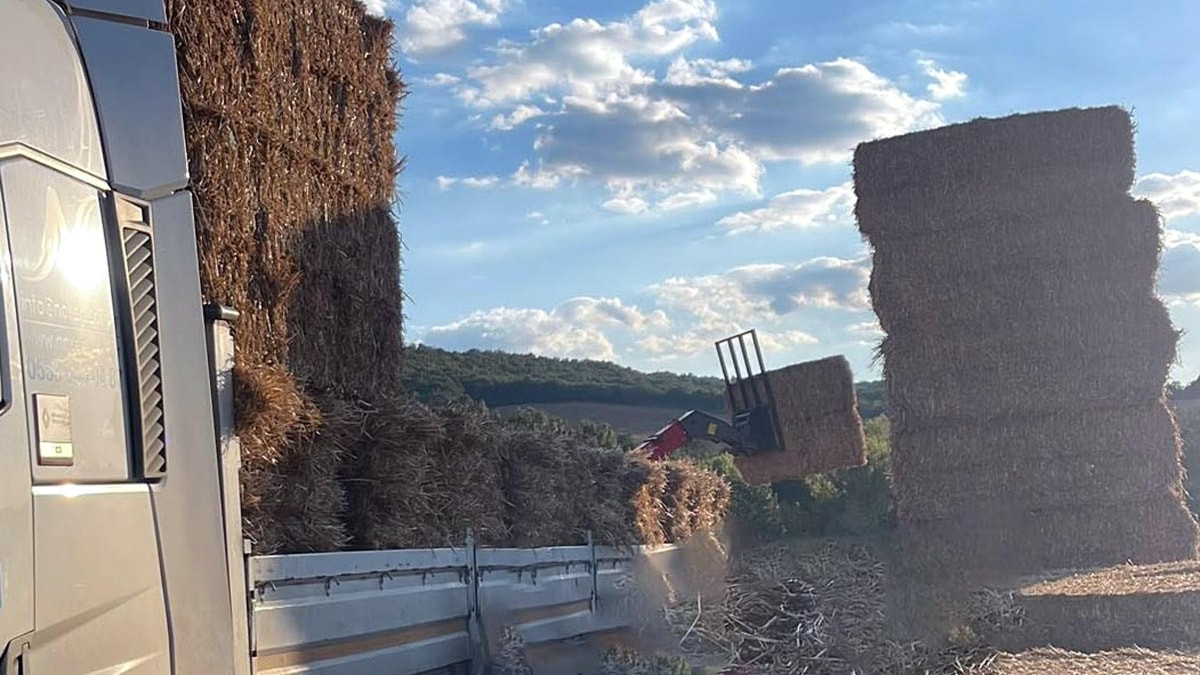 Tekirdağ'da üzerine saman balyası düştü