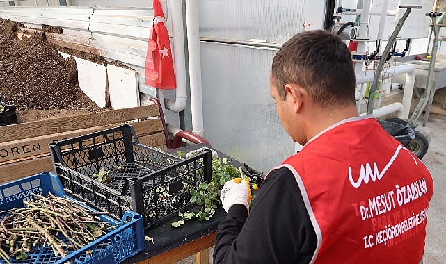 Keçiören Belediyesi Serasında Özel Bireyler İçin "Dijital Detoks" Etkinliği