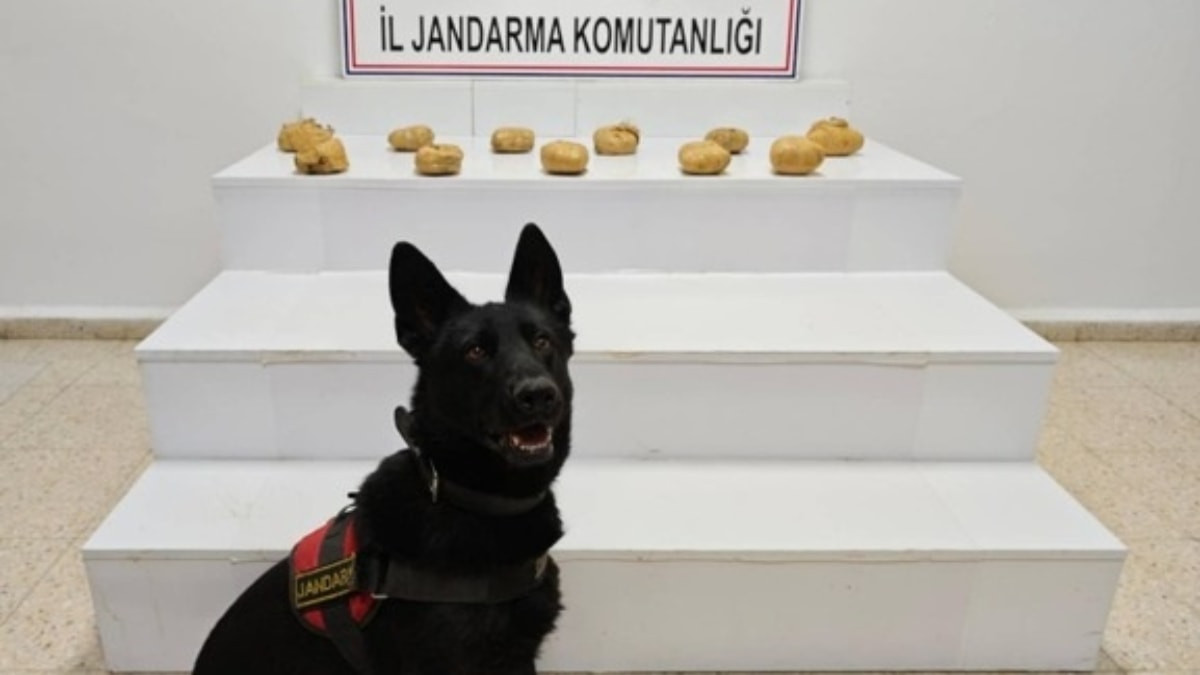 Van'da 11 kilo 958 gram toz esrar ele geçirildi
